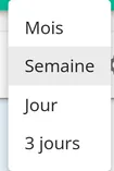 Capture d’écran : Cliquez en haut à droite de l’agenda sur l’affichage souhaité.